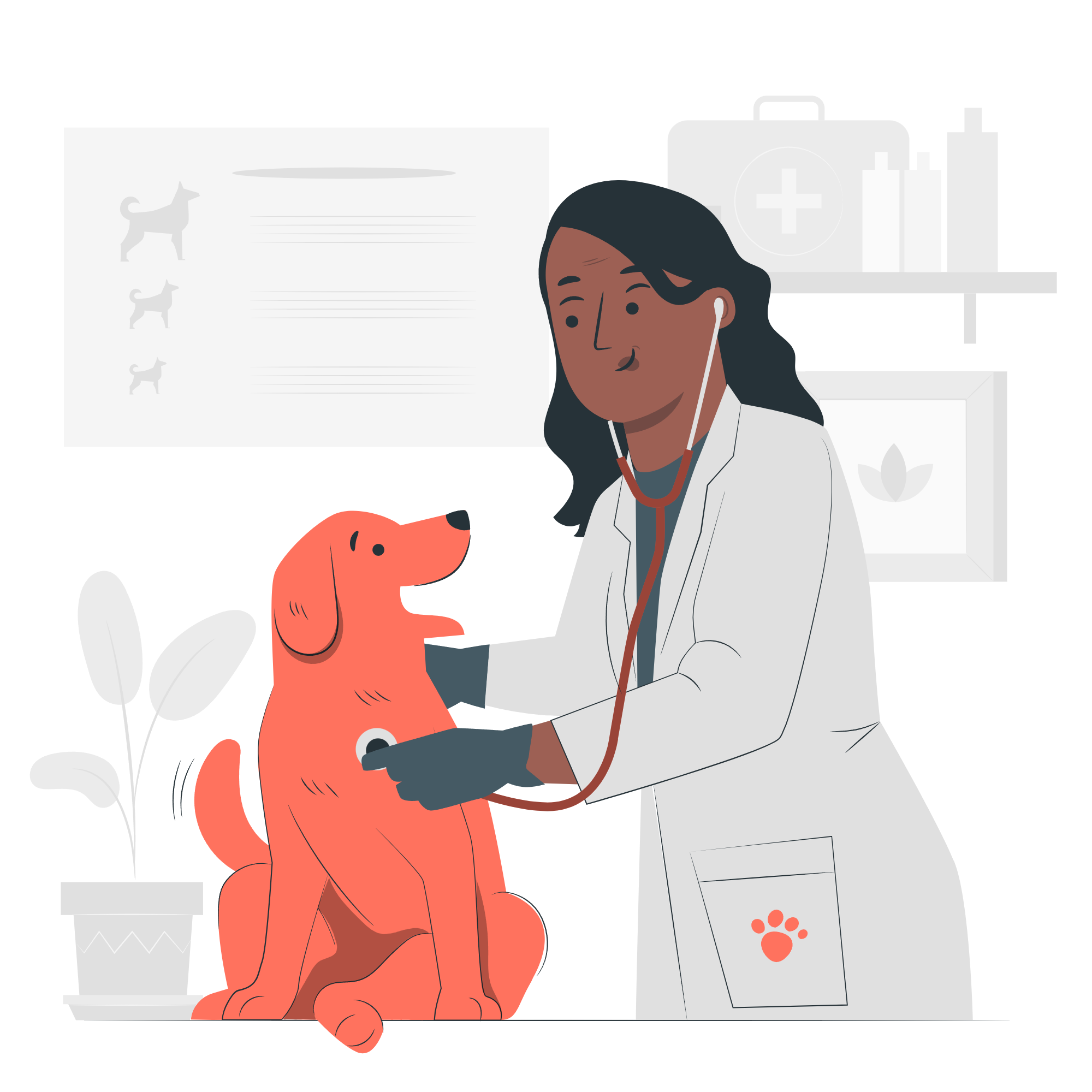 Veterinary Care Illustration